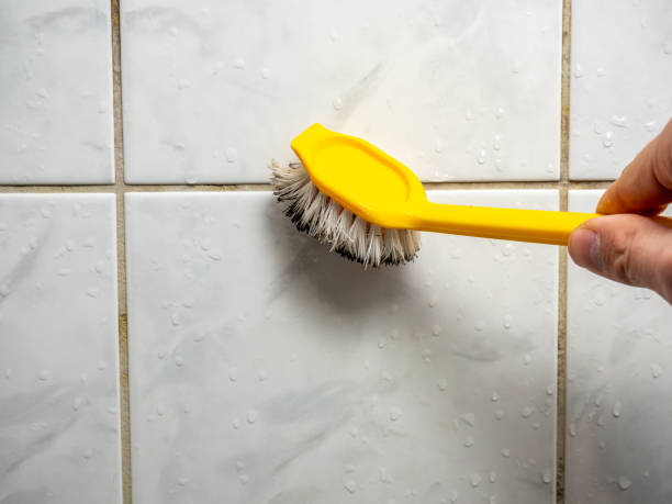 Best Mold Testing  in Lewisburg, OH