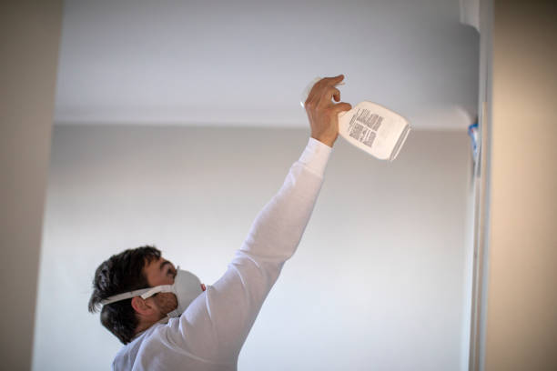 Best Mold Removal Company Near Me  in Lewisburg, OH
